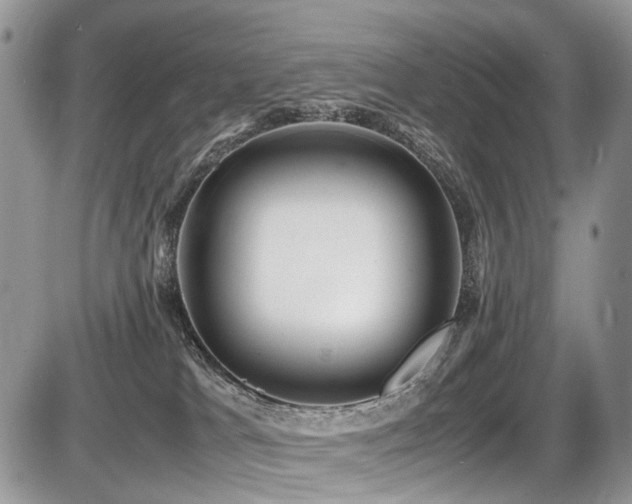 X0000087420037200704201437