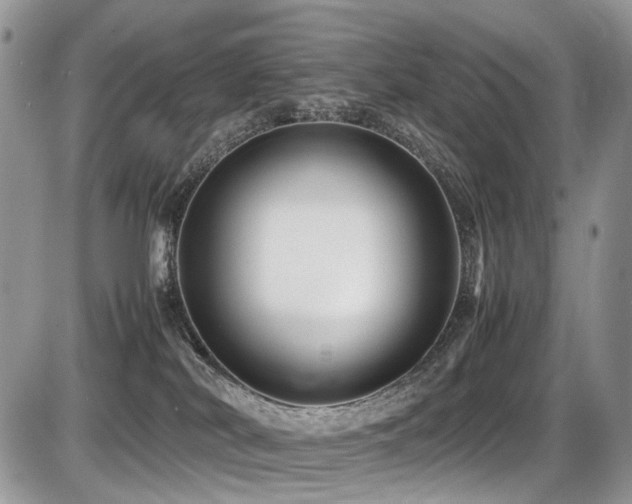 X0000087420038200704201437