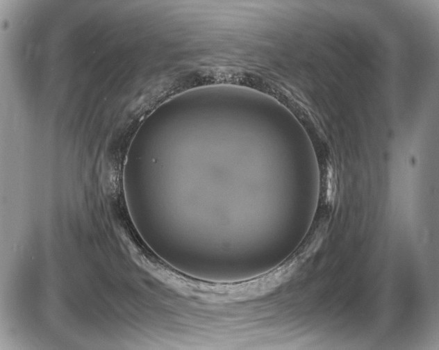 X0000087420039200704201437