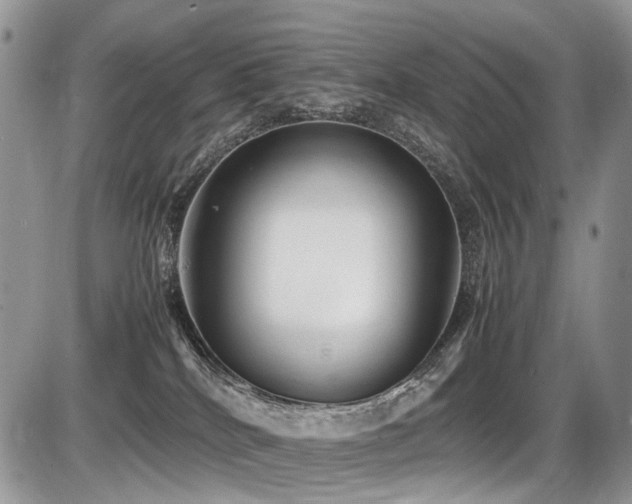 X0000087420040200704201437