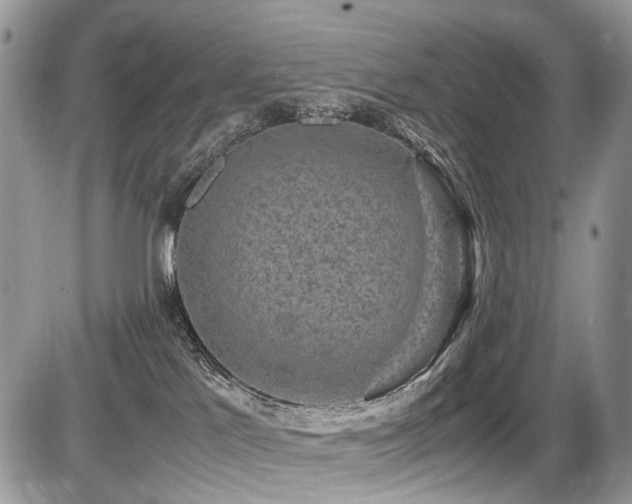 X0000087420041200704201437