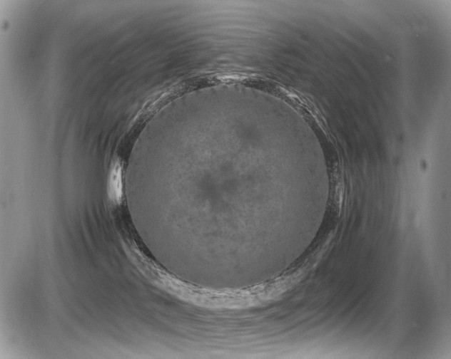 X0000087420042200704201437