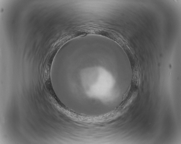 X0000087420043200704201437