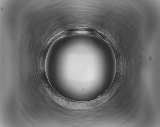 X0000087420044200704201437