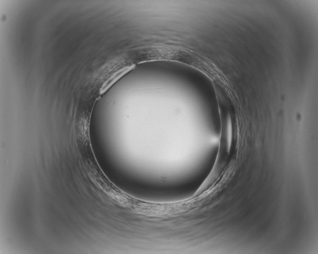 X0000087420045200704201437