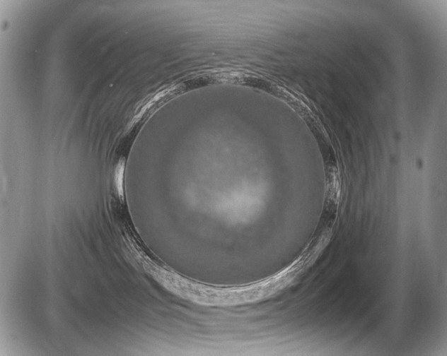 X0000087420047200704201437