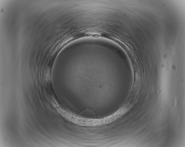 X0000087420048200704201437