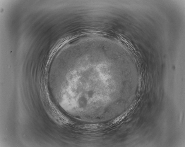 X0000087420049200704201436