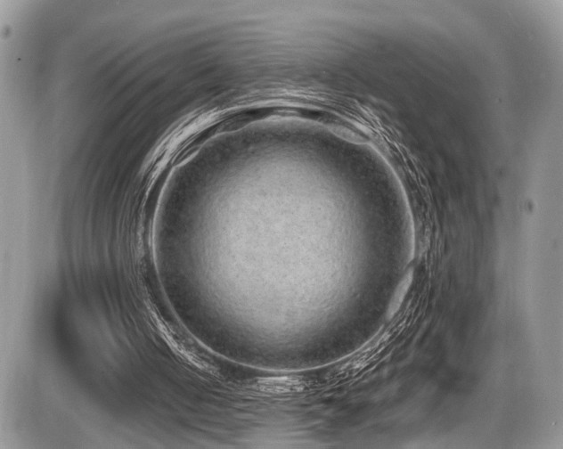 X0000087420050200704201436