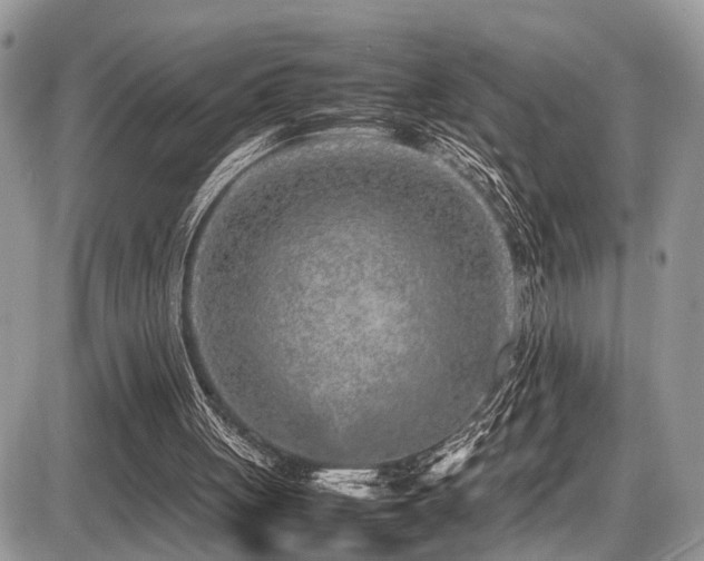 X0000087420051200704201436