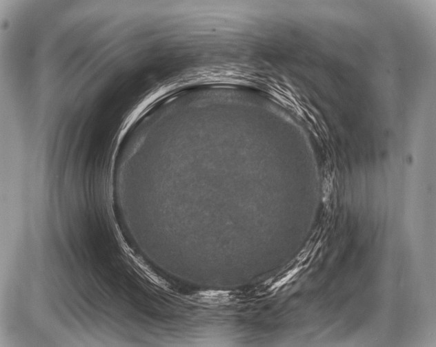 X0000087420052200704201436