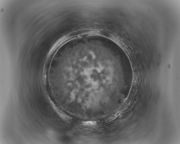 X0000087420053200704201436