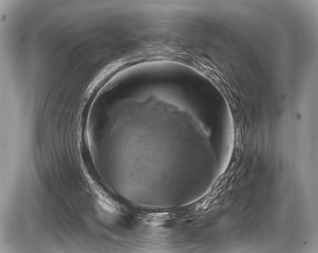 X0000087420054200704201436