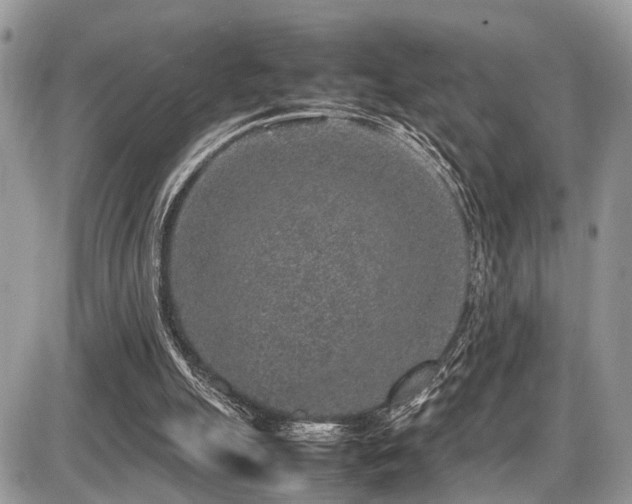 X0000087420055200704201436