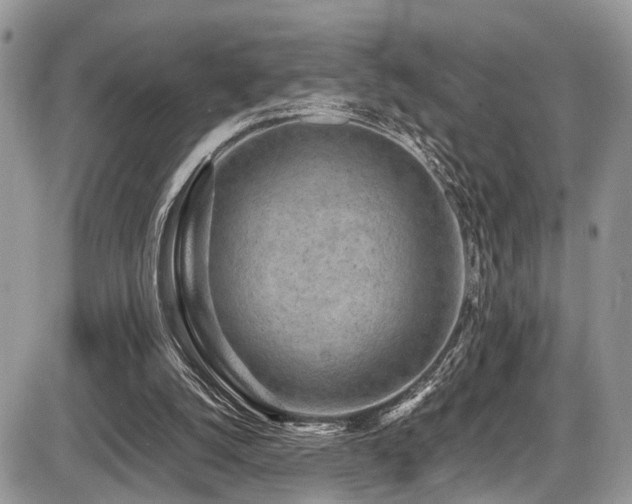 X0000087420056200704201436