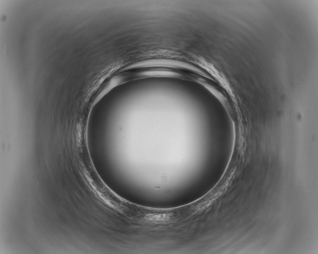 X0000087420057200704201436