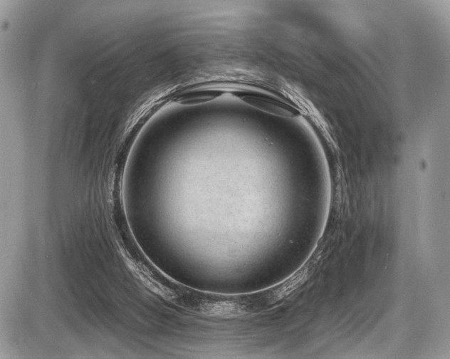 X0000087420058200704201436