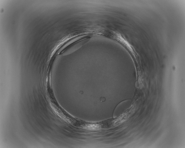 X0000087420059200704201436