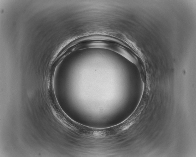 X0000087420060200704201436