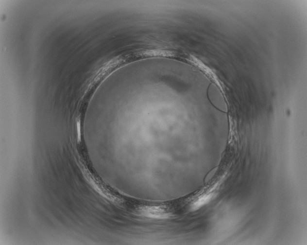 X0000087420061200704201436