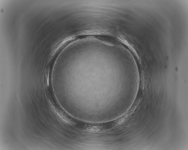 X0000087420062200704201436