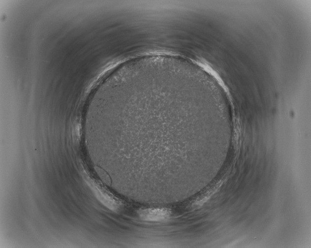 X0000087420063200704201436