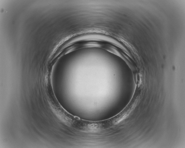 X0000087420064200704201436