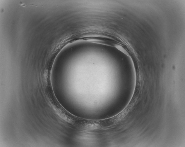 X0000087420066200704201436