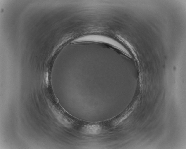 X0000087420067200704201436