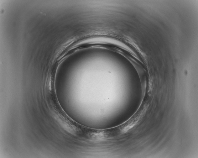 X0000087420068200704201436