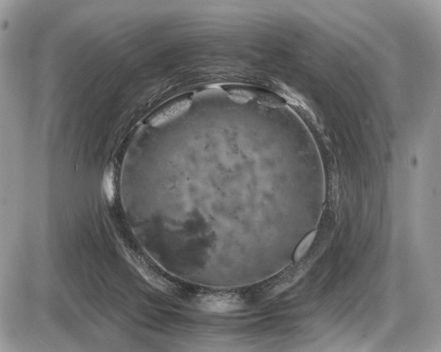 X0000087420069200704201436