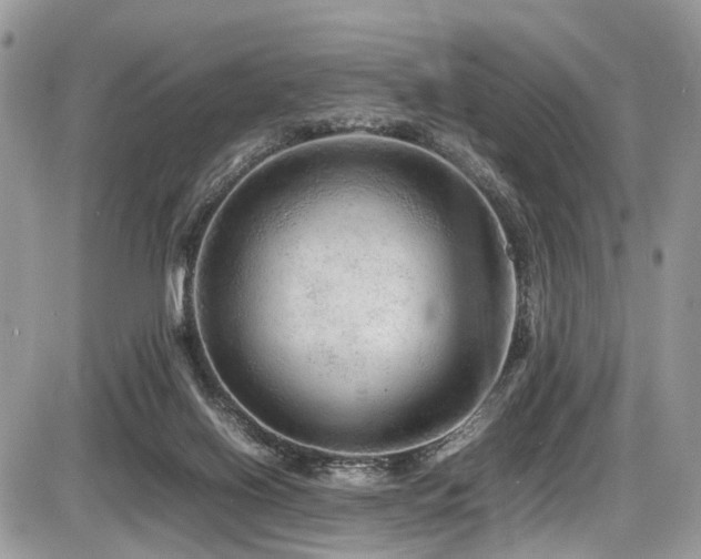 X0000087420070200704201436