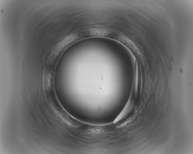 X0000087420071200704201436