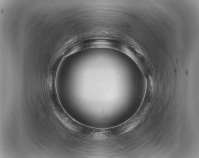 X0000087420072200704201436