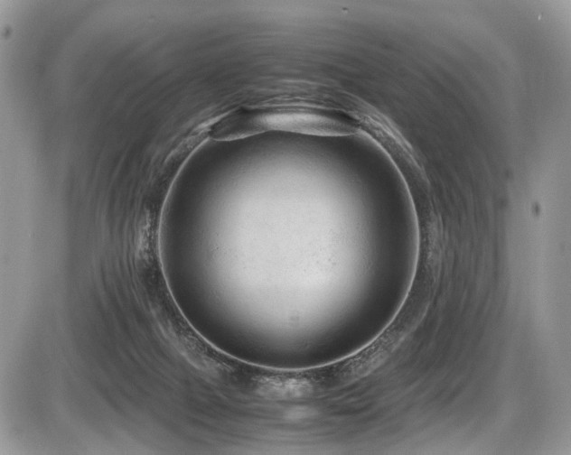 X0000087420073200704201436