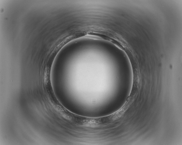 X0000087420074200704201436