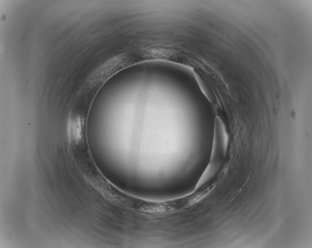 X0000087420075200704201436