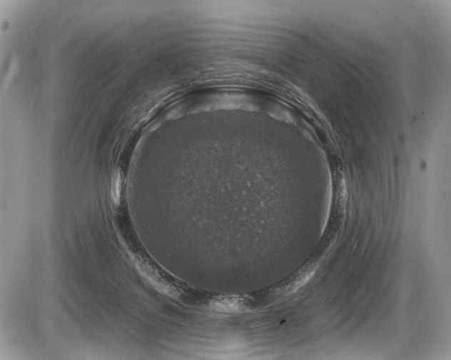 X0000087420076200704201436