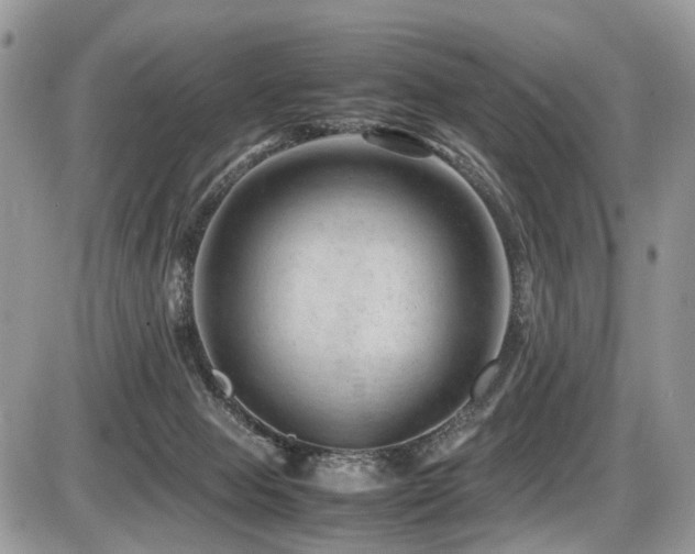 X0000087420077200704201436