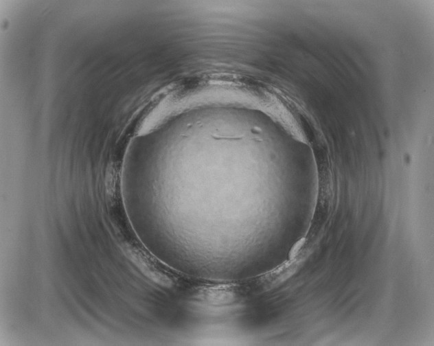 X0000087420078200704201436