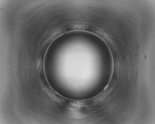 X0000087420079200704201436