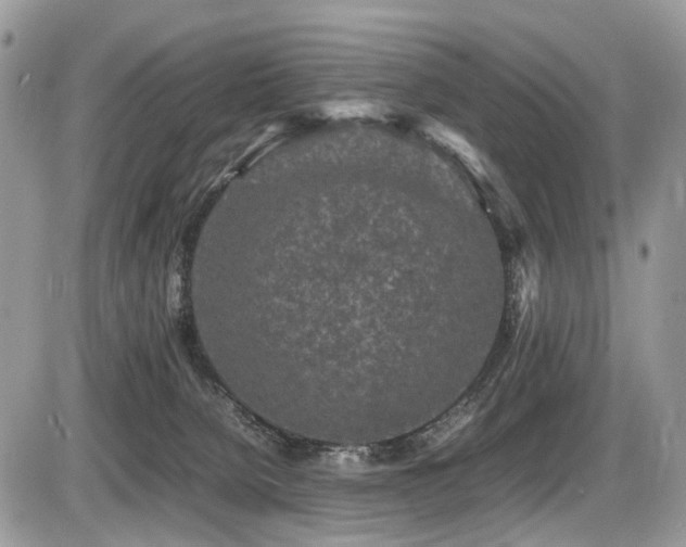 X0000087420080200704201436