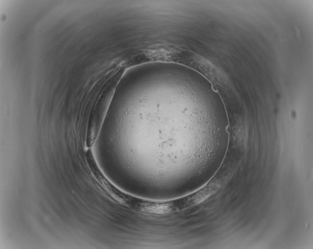 X0000087420081200704201436