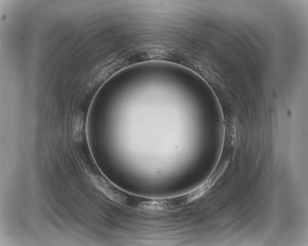 X0000087420082200704201436