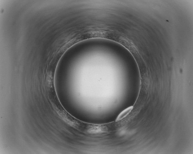 X0000087420083200704201436