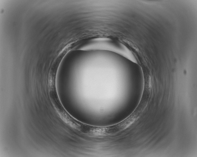 X0000087420084200704201436