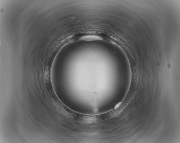 X0000087420085200704201436