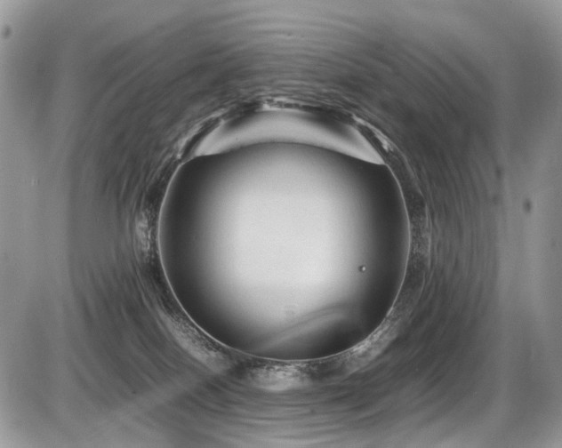 X0000087420086200704201436