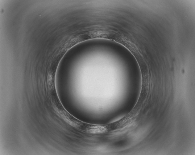 X0000087420087200704201436