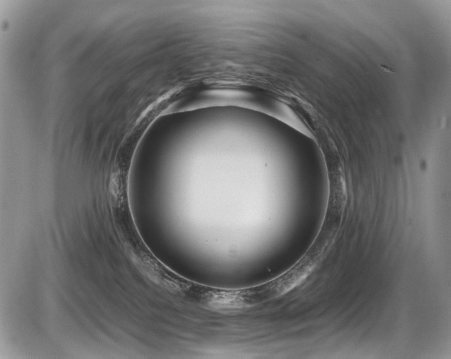 X0000087420088200704201436